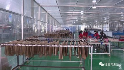 广河县:引进建设制造业 产业升级助发展
